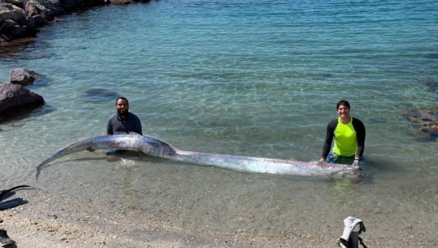 ¿Debemos prepararnos para lo peor? Aparece pez remo en playa de BCS