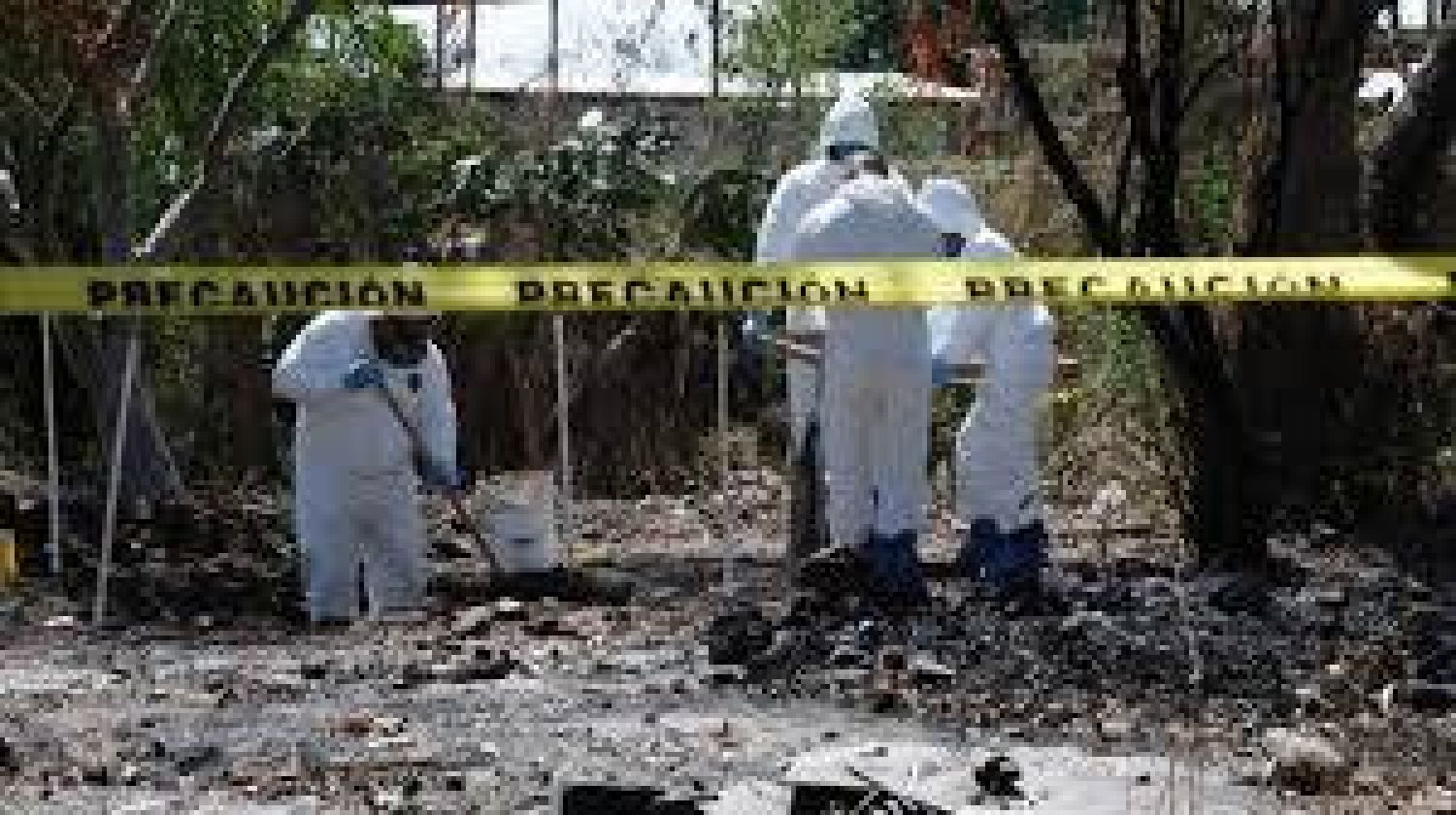 Localizan 146 cadáveres en tres fosas de Jalisco, en el último mes