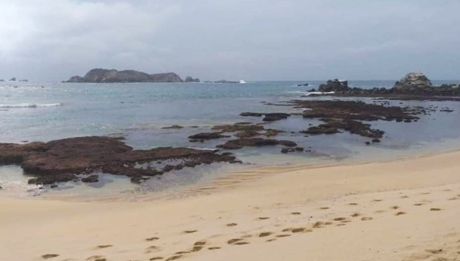 ¿Cuánto tiempo tarda en llegar un tsunami después de un sismo?