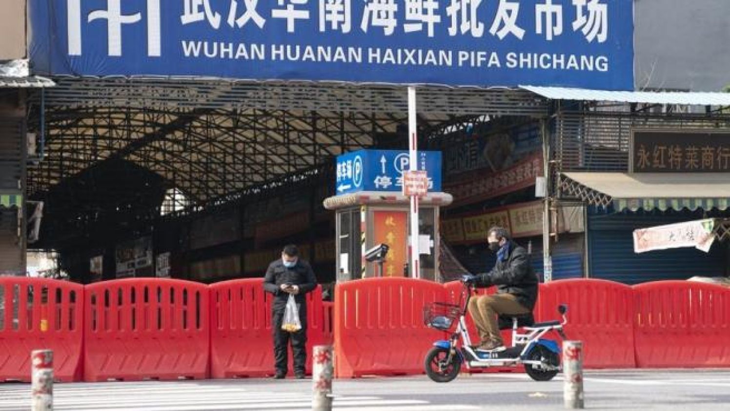 Wuhan, donde inició el brote de COVID-19, prohíbe venta y consumo de animales salvajes