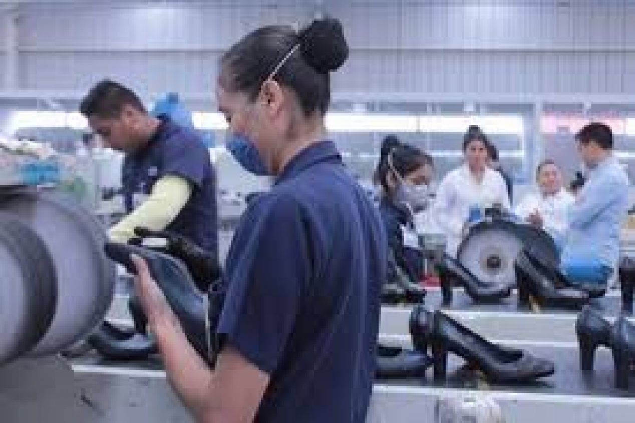 Empleo formal recupera 200 mil 641 puestos en octubre; cifra récord en el IMSS para cualquier mes