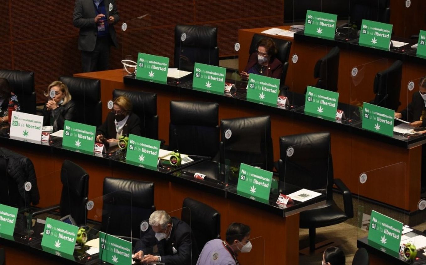 Mariguana en México: Senado aprueba histórica regulación integral