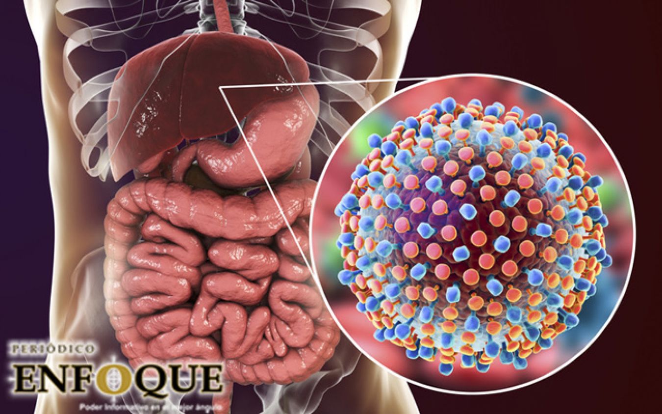 Nobel de Medicina 2020, para los 3 científicos que descubrieron la hepatitis C