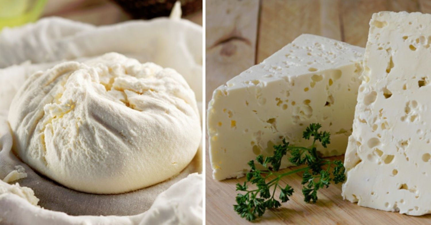 Así puedes hacer queso en tu casa con solo 3 ingredientes