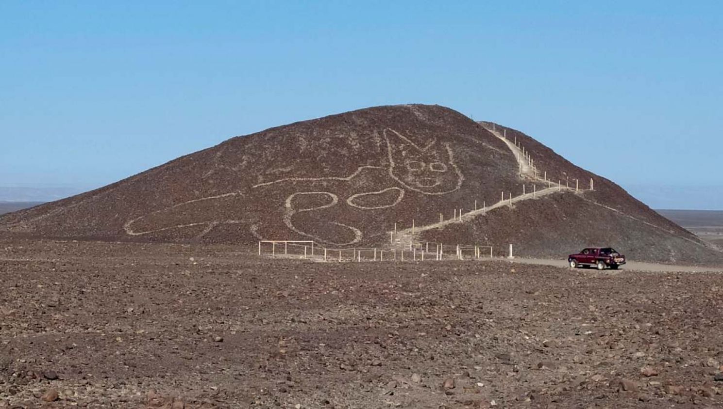 Encuentran dibujo de un “gato gigante” en montaña de Perú