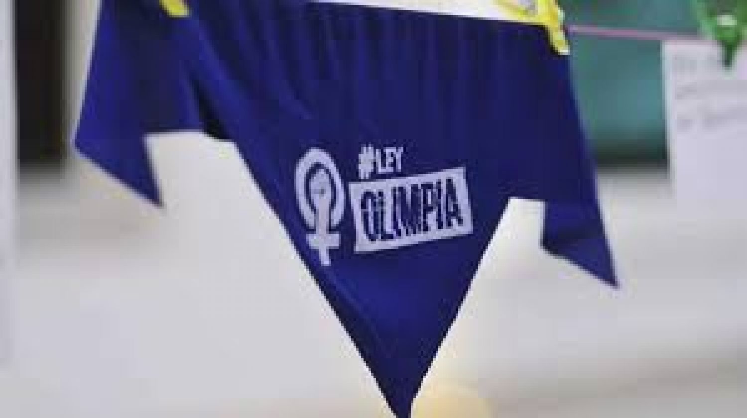 Aprueba Congreso de Tamaulipas Ley Olimpia