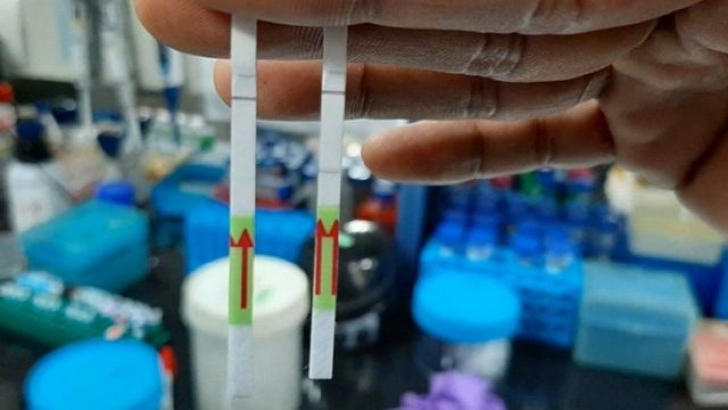 Variante ‘doble mutante’, que se originó en India, llega a EU