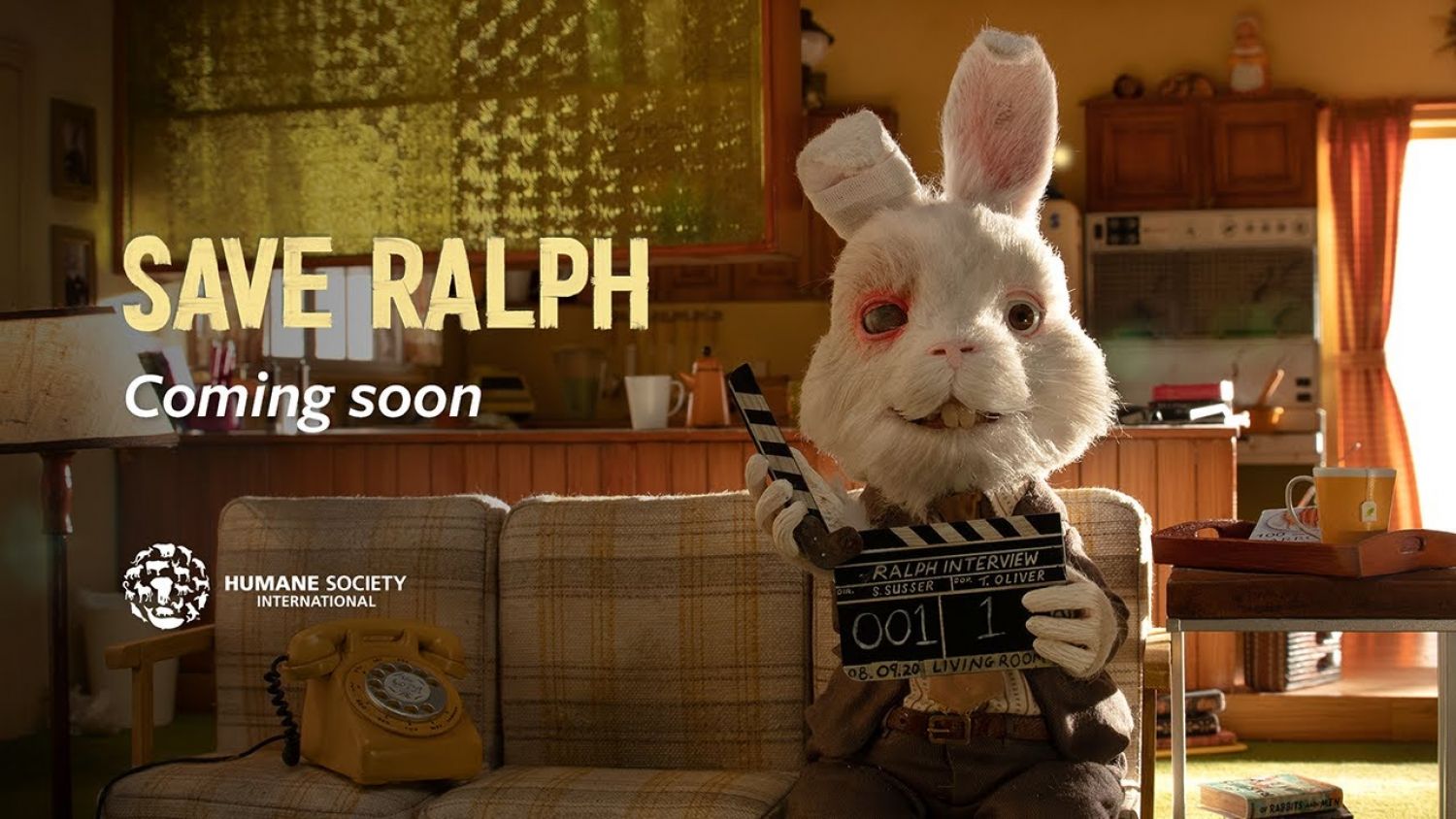 "Save Ralph", la campaña contra pruebas en animales que conmueve en redes sociales