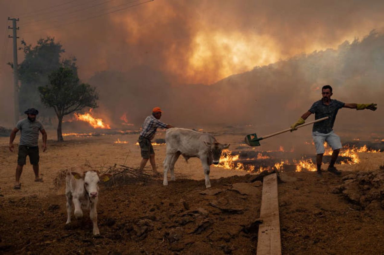 Sobrevivientes relatan tragedia tras incendio en Turquía