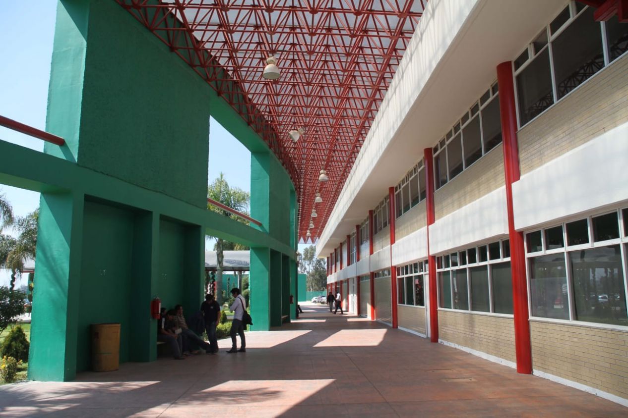 Necesarias las clases presenciales: UPTx
