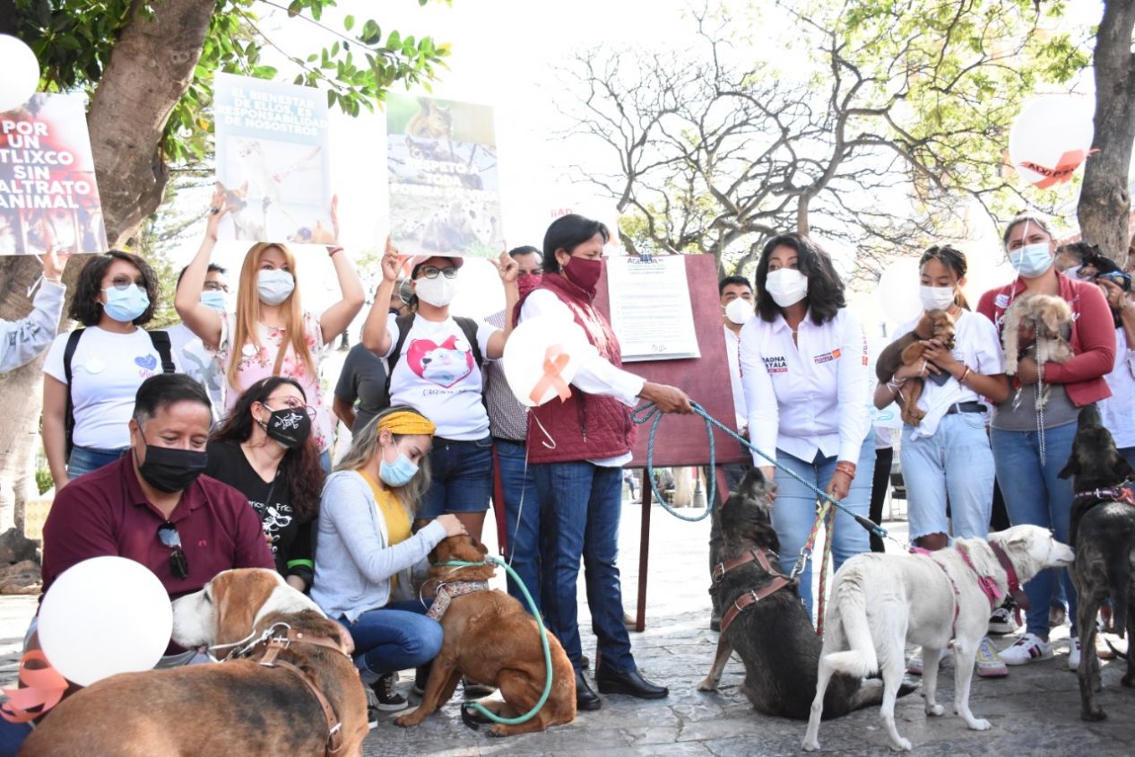 Ayuntamiento de Atlixco emprende acciones en favor del bienestar animal
