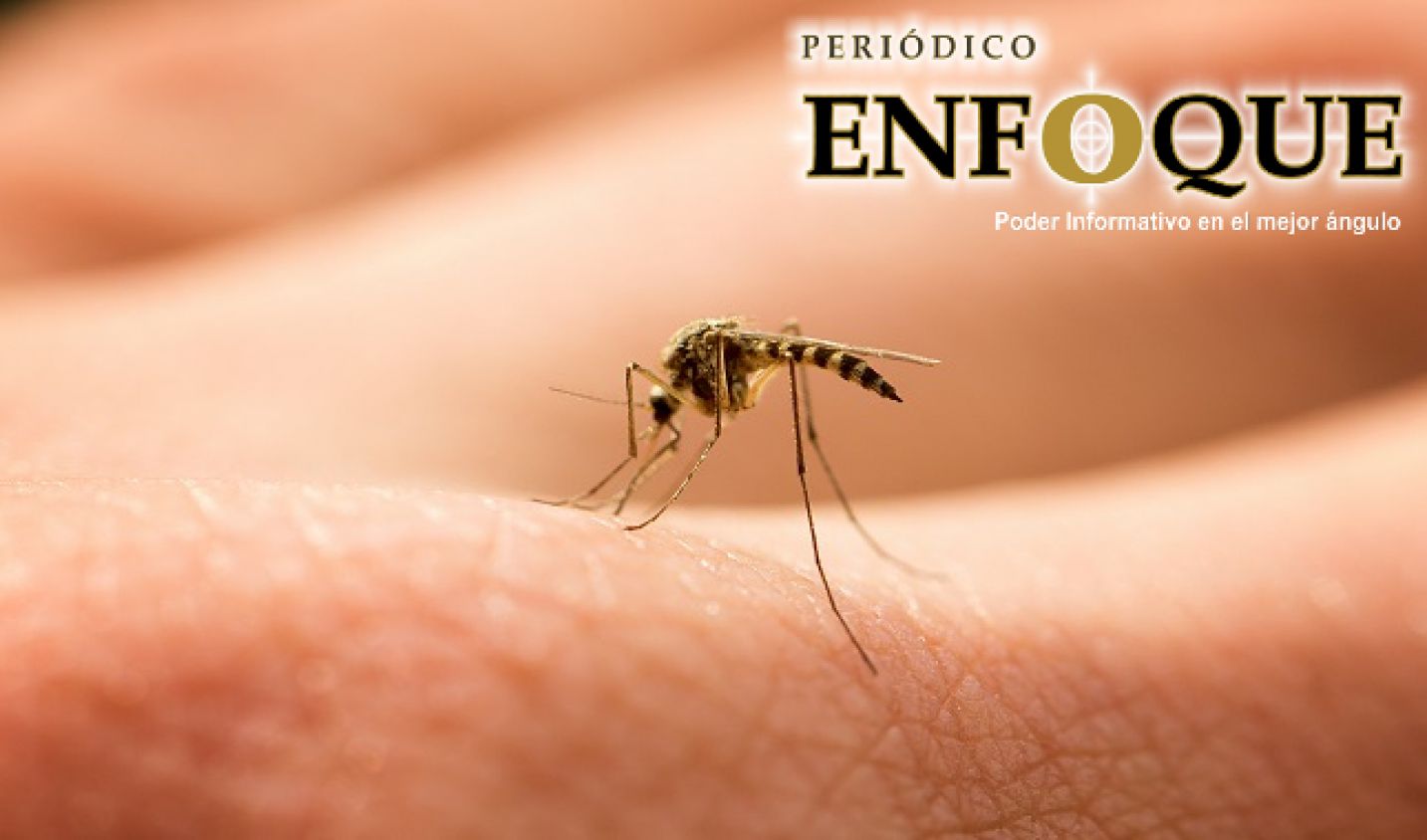 Gobierno de Coahuila continúa implementando estrategias para combatir al Dengue, Chikungunya y Zika.