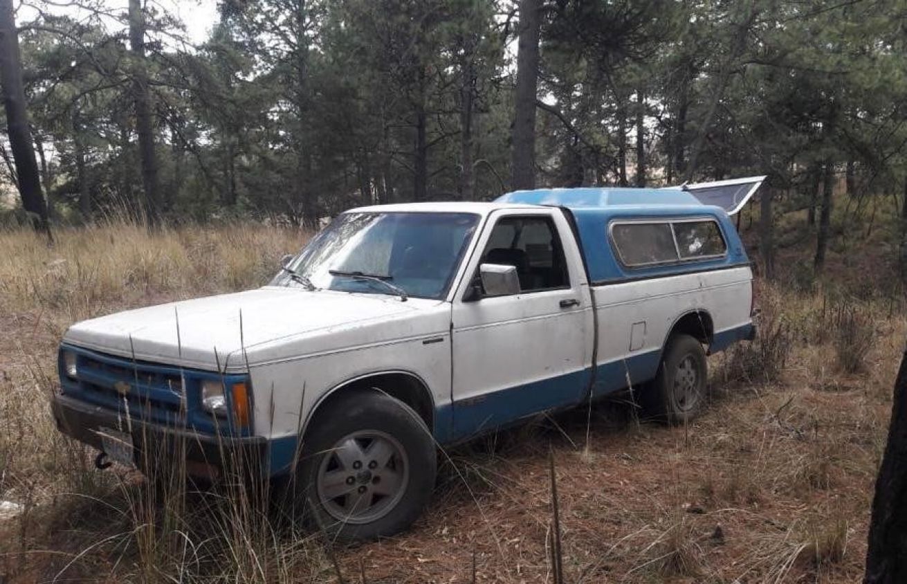 PFM en Tlaxcala asegura recurso forestal maderable
