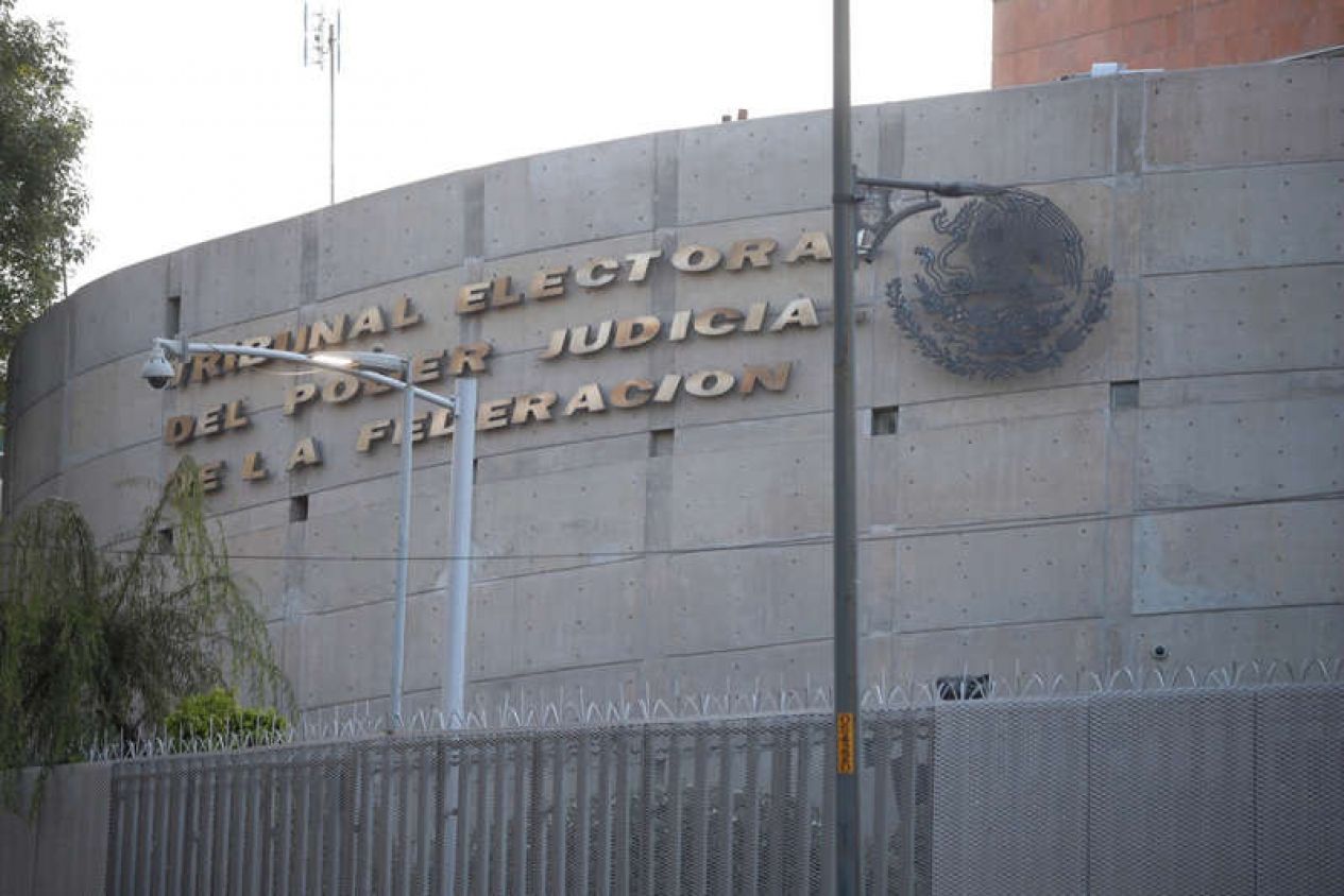 AMLO difundió propaganda ilegalmente, determina Sala del TEPJF