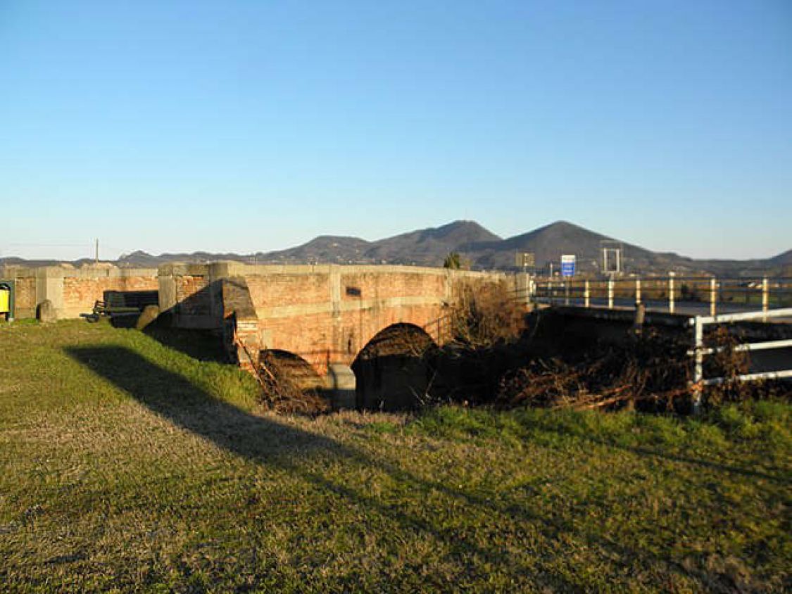 Podrían revelar el secreto de la inmunidad a COVID-19