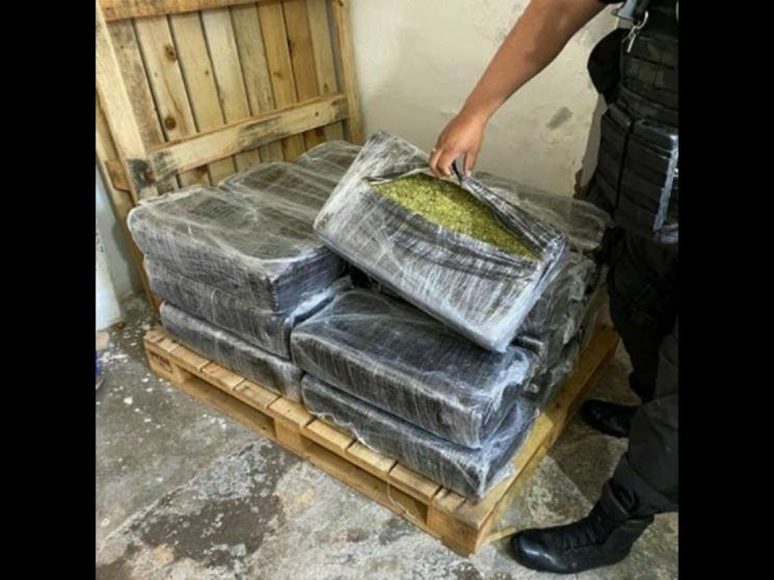 El comercio de mariguana por cárteles es un fenómeno histórico": UIF