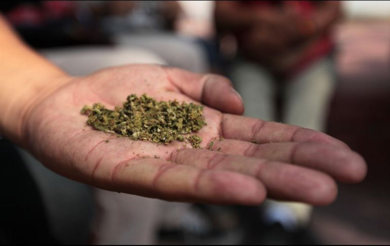 Cofepris: Las reglas para tramitar permiso de consumir marihuana