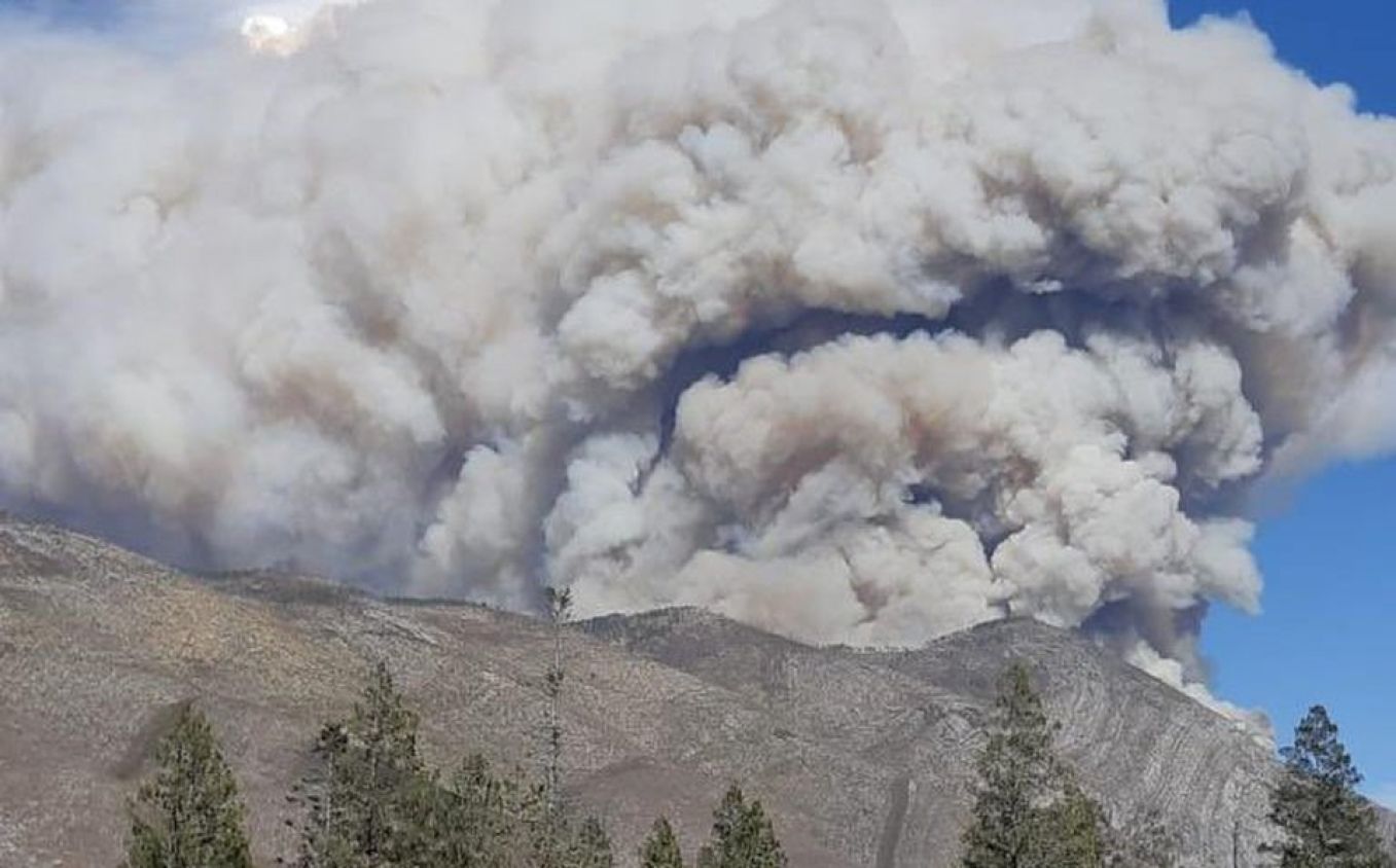 Incendio consume en Arteaga 3,500 hectáreas en Coahuila
