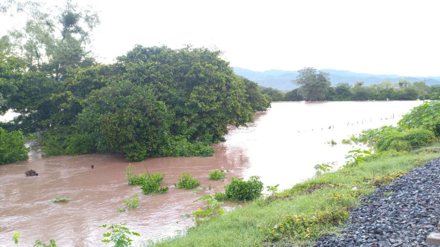 Desalojan a familias por desbordamiento de río: Nayarit