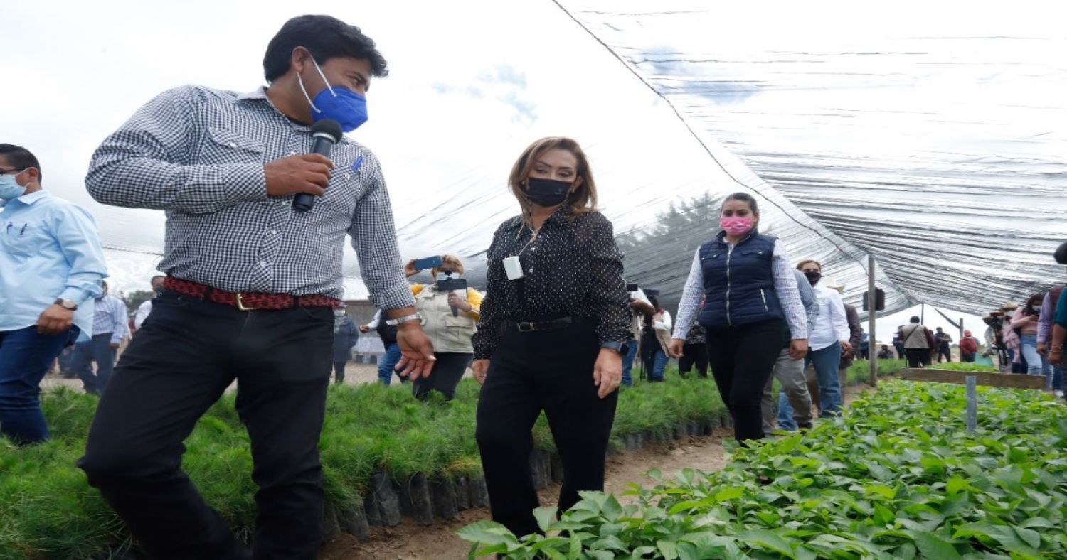 Entregó Lorena Cuéllar desgranadoras a campesinos y verificó avances del programa sembrando vida