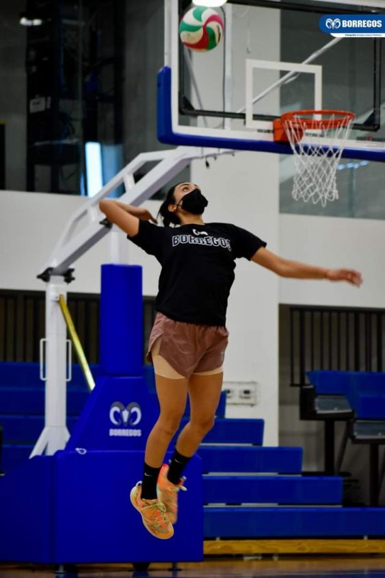 Borregos Puebla va por el Final Four 