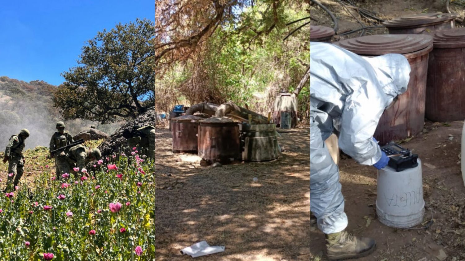 Destruye Sedena y Fuerza Aérea Mexicana laboratorios clandestinos y 10 hectáreas de amapola