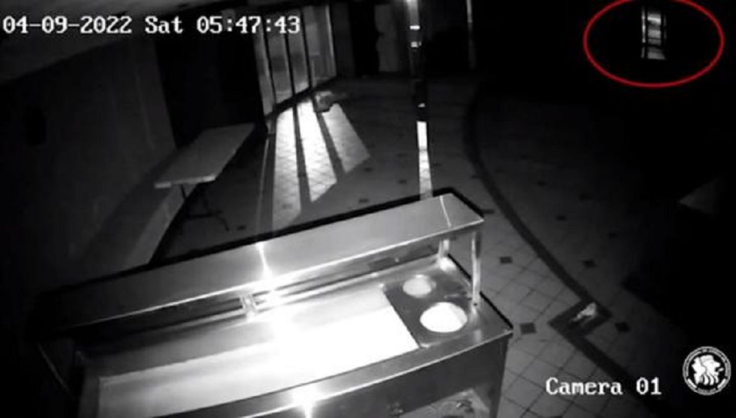 Revelan nuevos detalles del caso de Debanhi, fiscalía analiza video de silueta, que se asemeja de Debanhi, acercarse a un auto