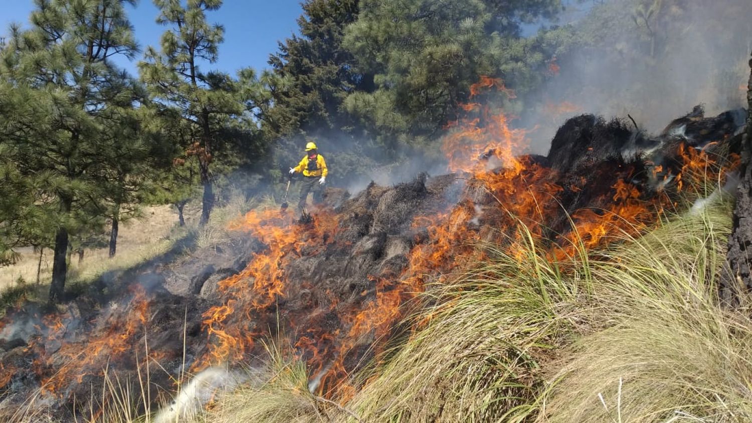 Tan solo este fin de semana se reportaron  20 incendios forestales en CDMX