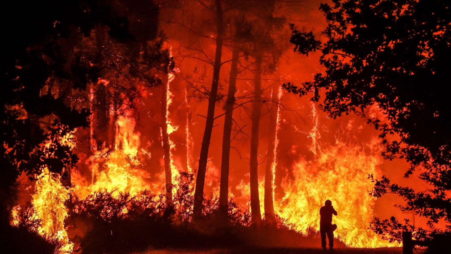 Arrasan incendios en Francia; envía sus aviones la UE para mitigar el fuego