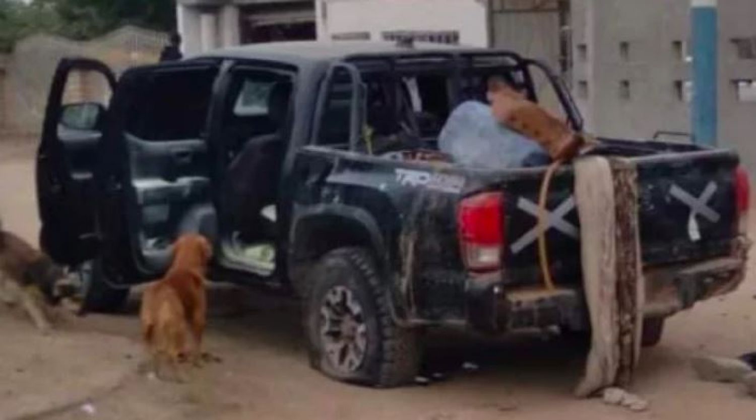 Enfrentamiento entre sicarios en los límites de Baja California  y Sonora dejó al menos ocho muertos