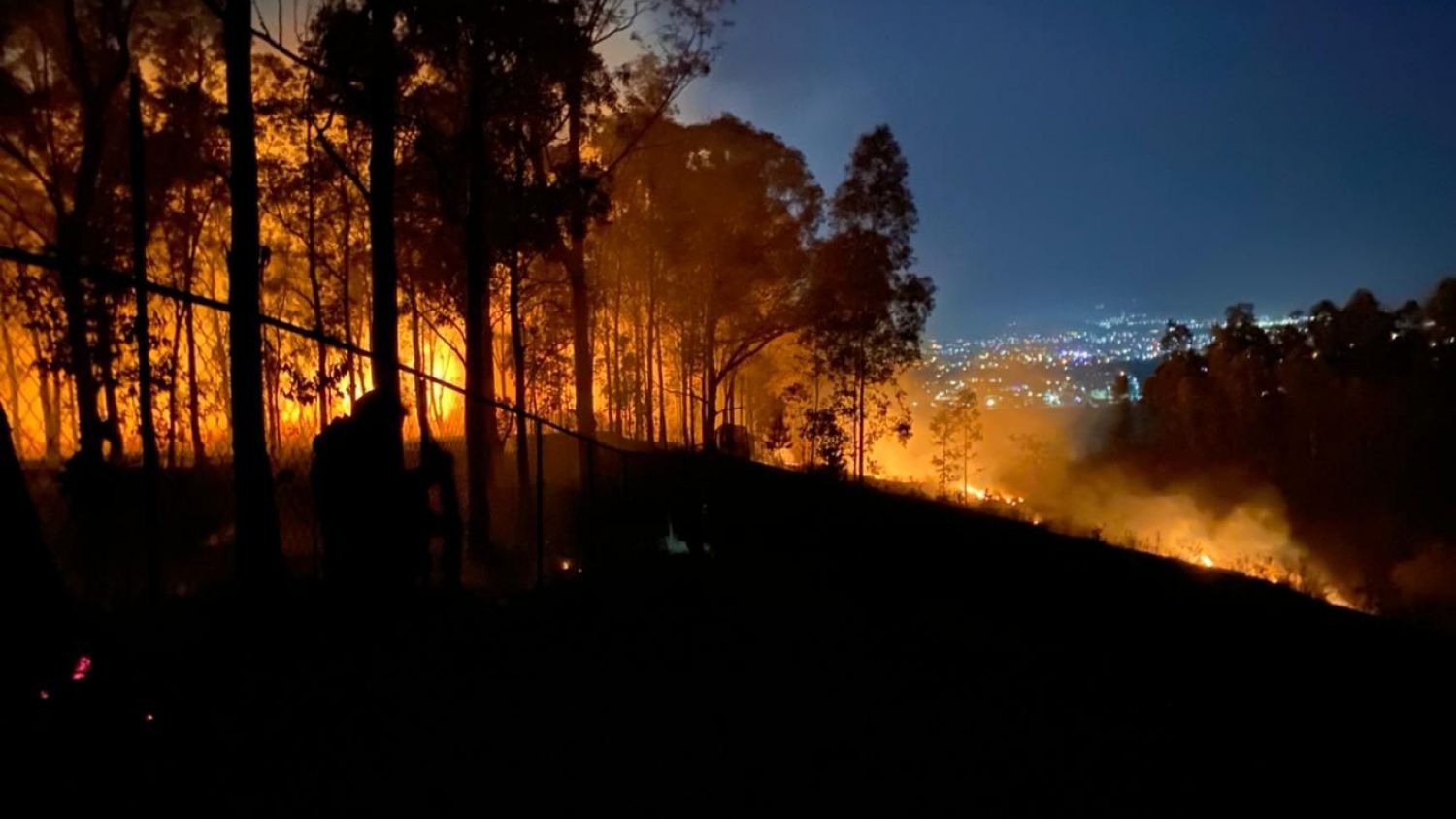 ¡Pasó en la madrugada! Se registró un incendio en el Cerro Zapotecas