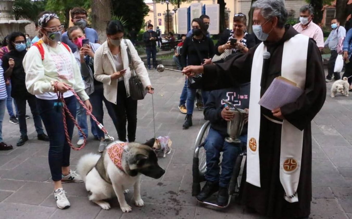 Parroquia de Santa Clara de Asís en Puebla convoca a bendición virtual de mascotas 