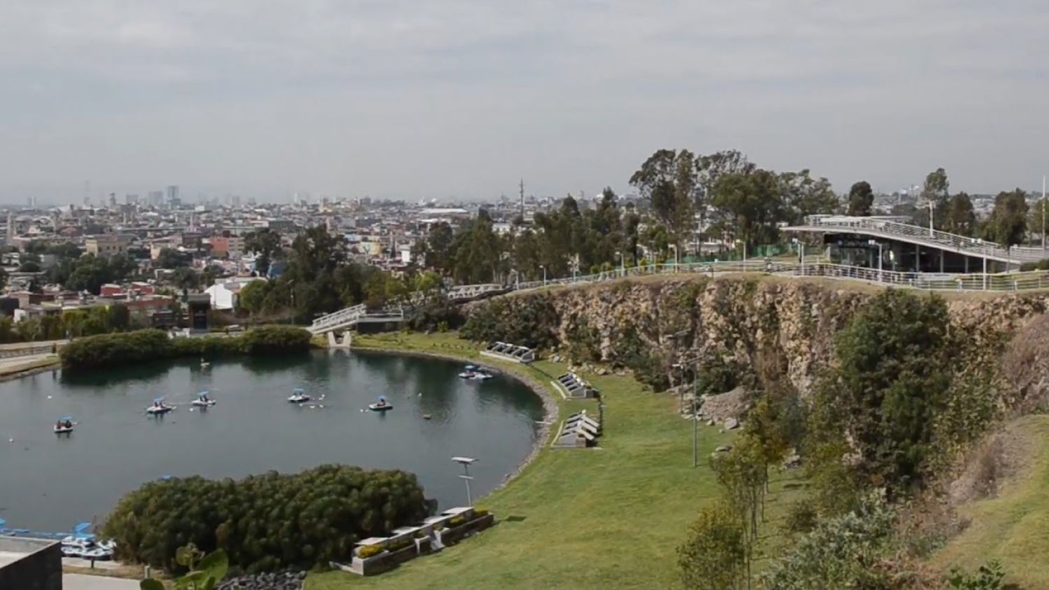 Gusano Barrenador pone en riesgo árboles del Cerro de Loreto