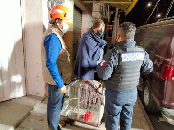 Son rescatados de edificio colapsado en Puebla 45 animales