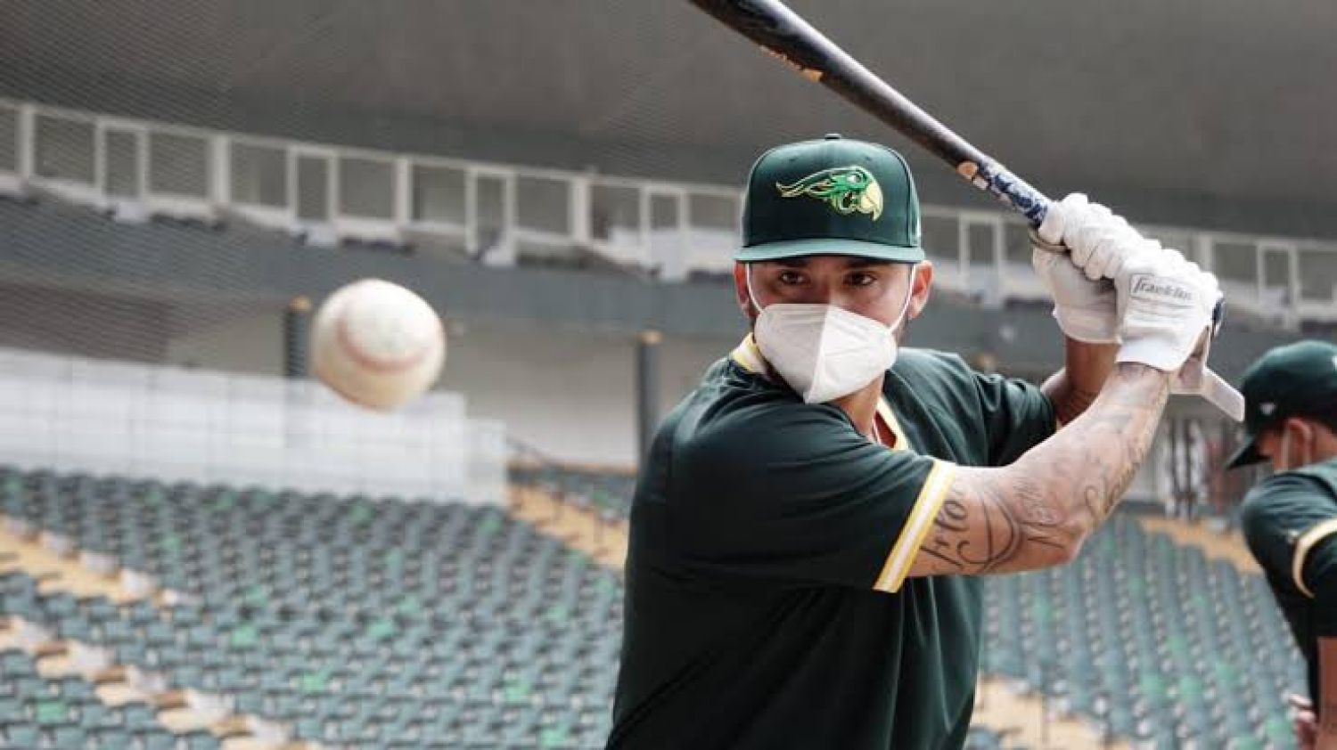 Pericos de Puebla arrancará pretemporada el 14 de marzo 