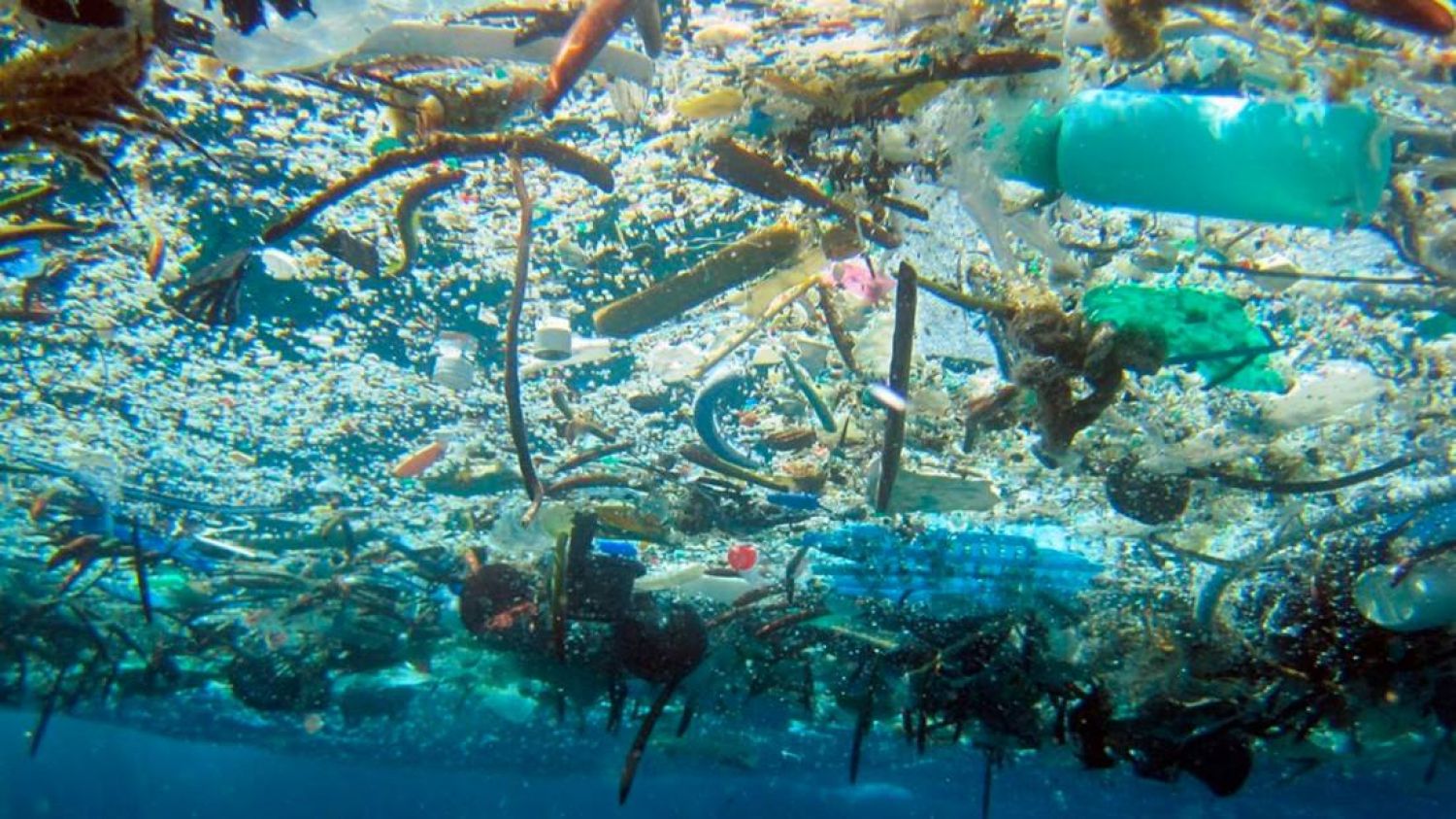 Producción de plásticos se ha cuadruplicado en los últimos 30 años y sólo se recicla el 9%: OCDE