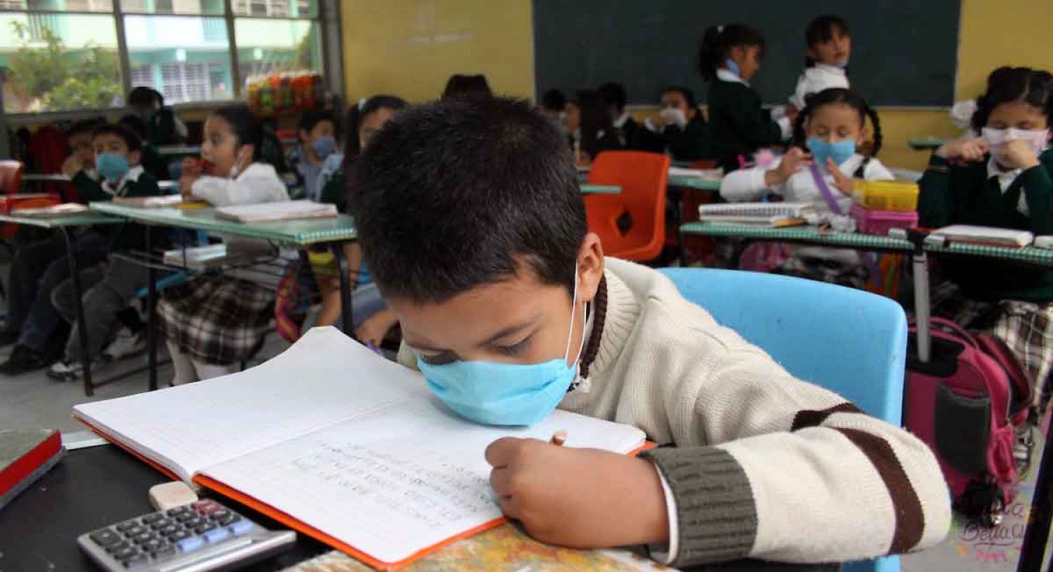 Certificados y boletas de la SEP en Puebla podrán descargarse a partir del 25 de julio; aquí te decimos como