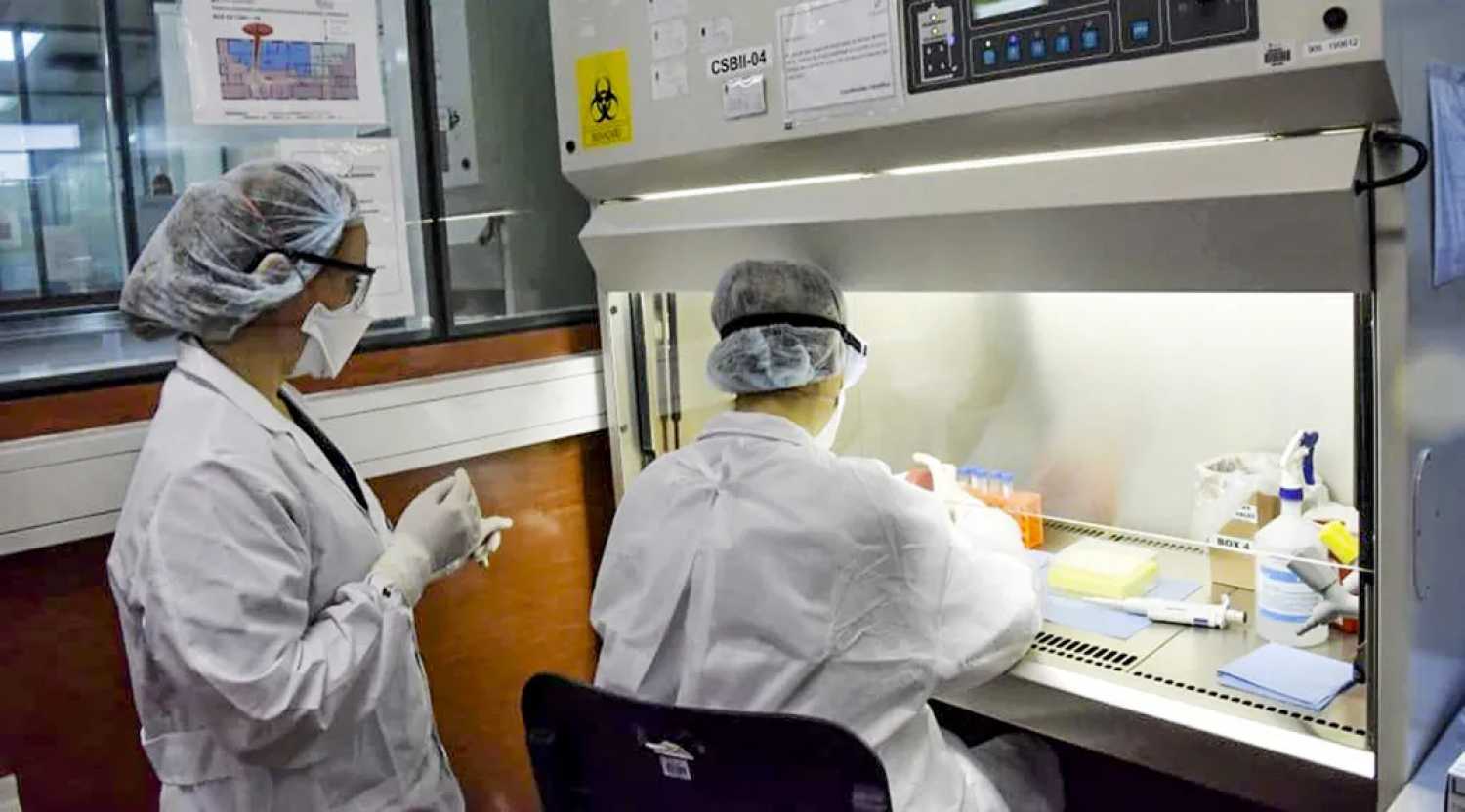 Corea del Sur reporta sus primeros casos sospechosos de viruela del mono