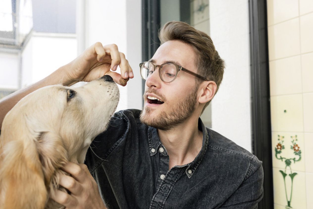 ¿Qué le pasaría a tu cuerpo si tuvieras que alimentarte de comida especial para perros?