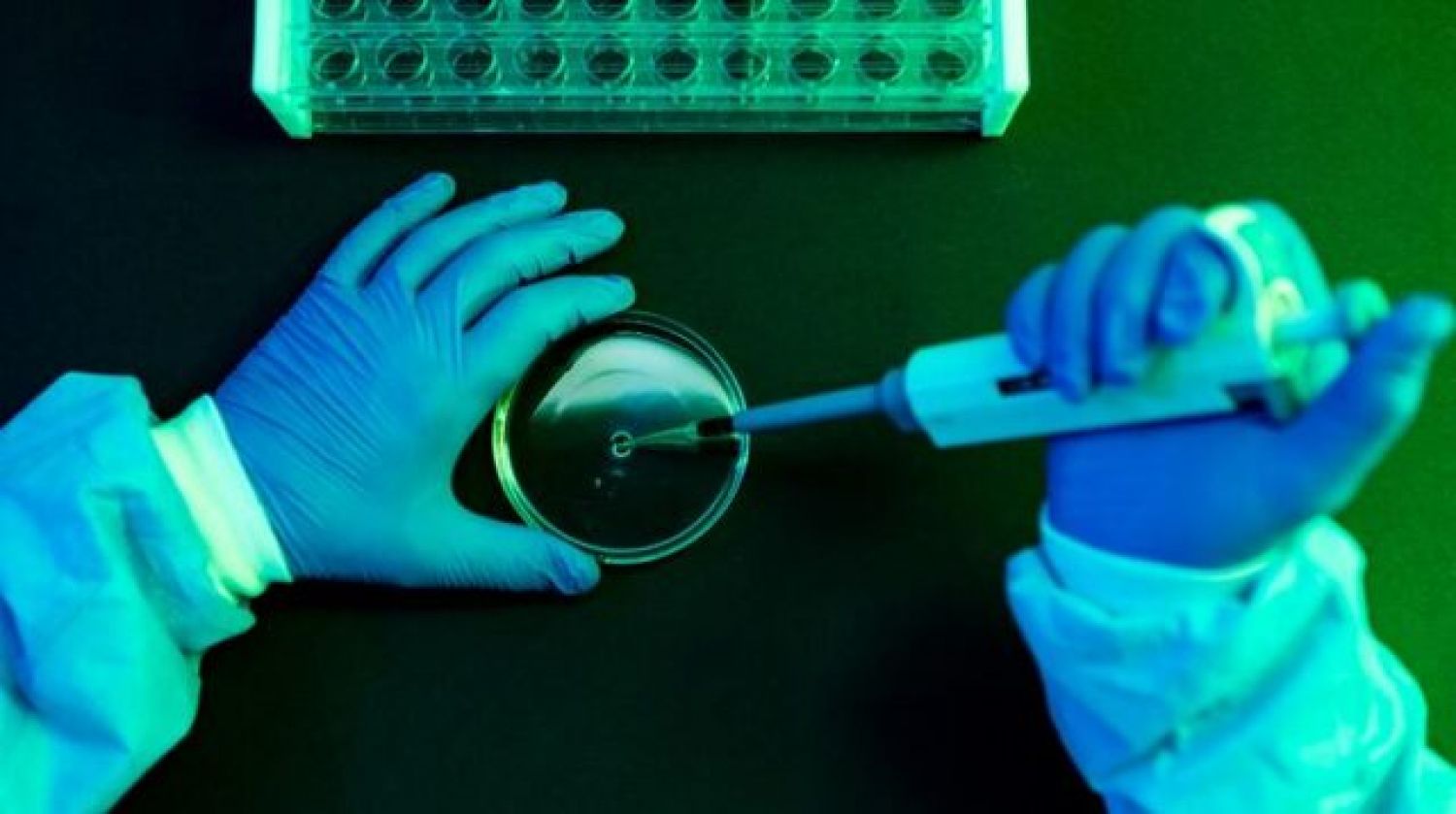 Medicamento contra el cáncer ´Desaparece´ la enfermedad por completo 