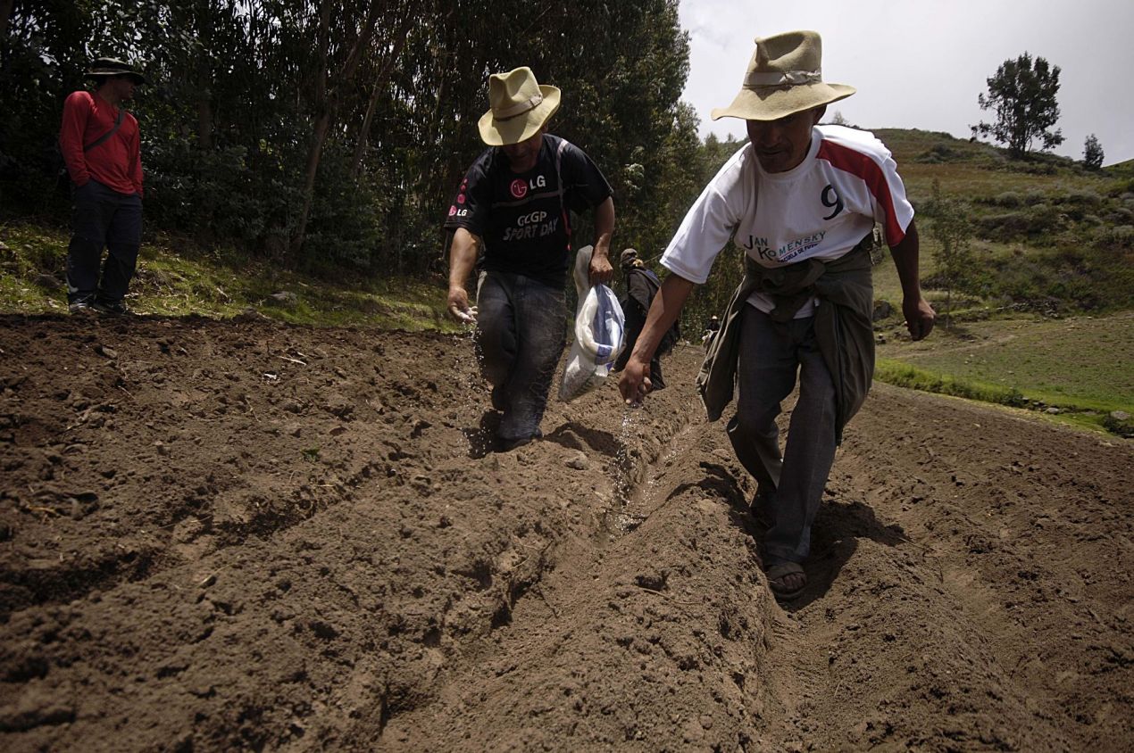 De acuerdo con GCMA los fertilizantes y trigo importados a México podrían presentar desabasto por conflicto entre Ucrania y Rusia