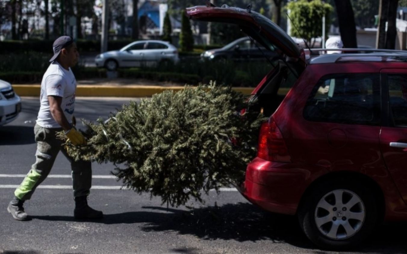 Programa “Verde Navidad 2021” de Africam Safari concluye en Atlixco.
