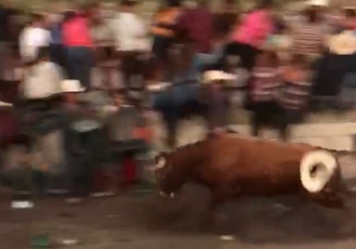 Toro se escapa del ruedo durante jaripeo y se proyecta sin control contra los asistentes en Puebla