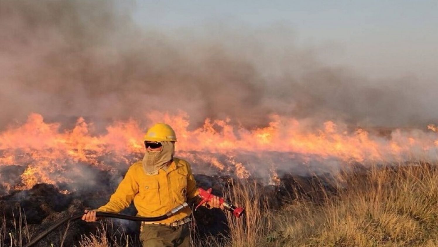 Analizan aumentar sanciones a quienes inicien incendios forestales