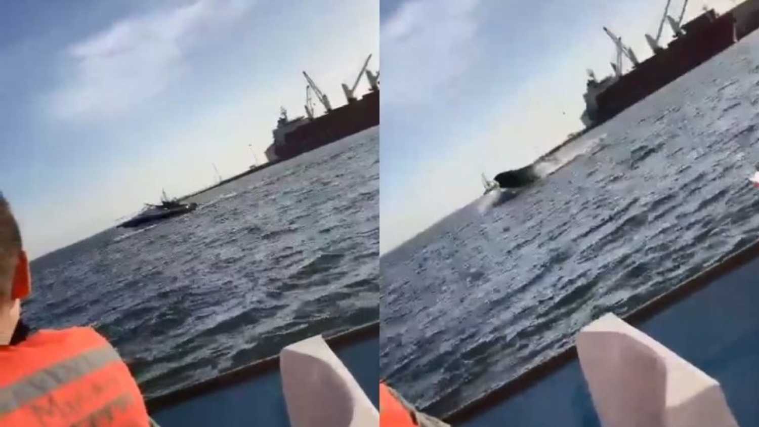 Durante espectáculo de avistamiento, ballena cae sobre yate con turistas en Sinaloa