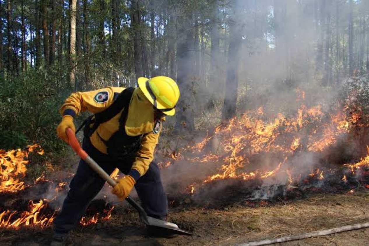 En el estado de Tlaxcala han disminuido los incendios forestales durante este año