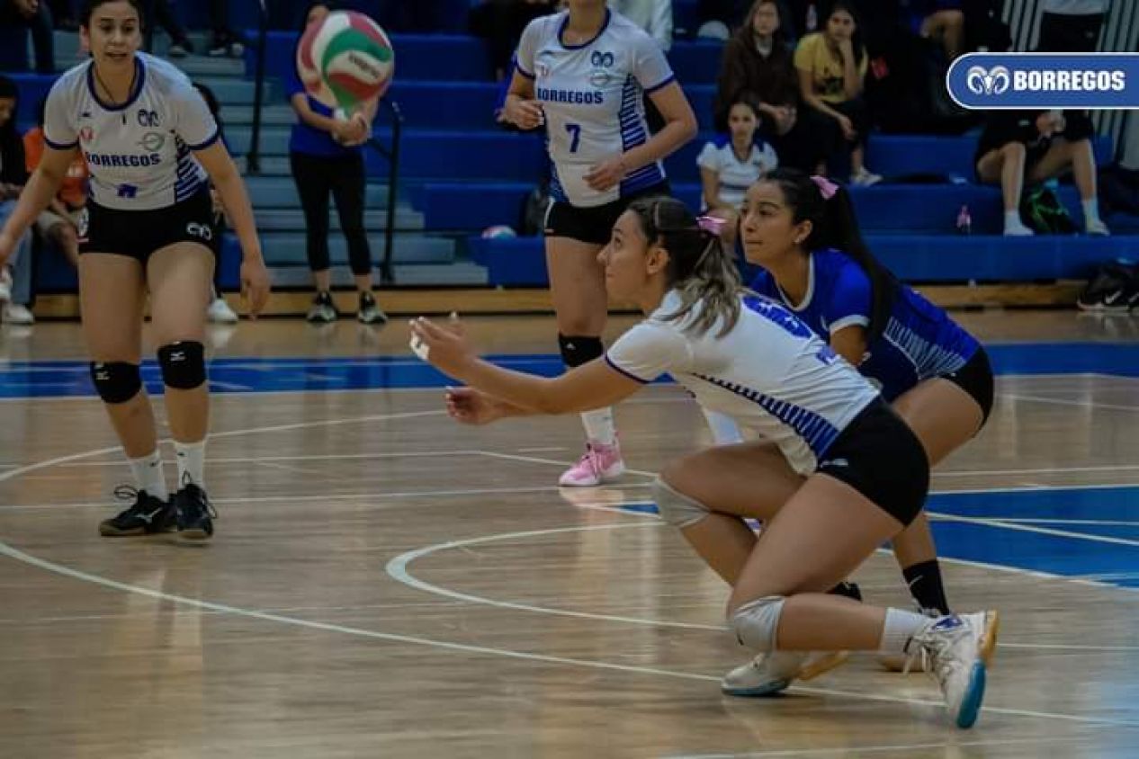 Borregos Puebla tuvo buena jornada de voleibol