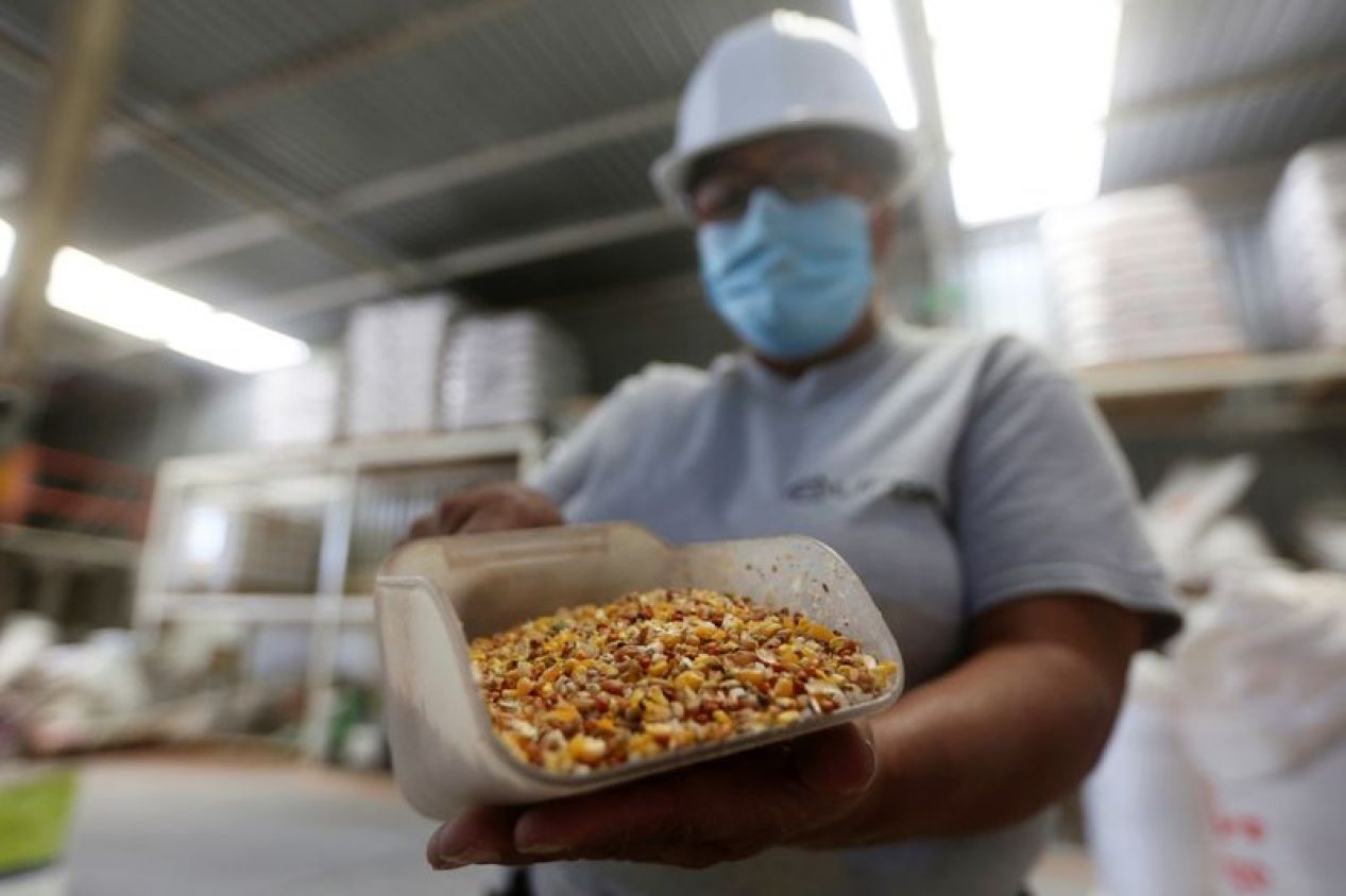 México esta dispuesto a tratar conflicto de maíz transgénico en panel del T-MEC