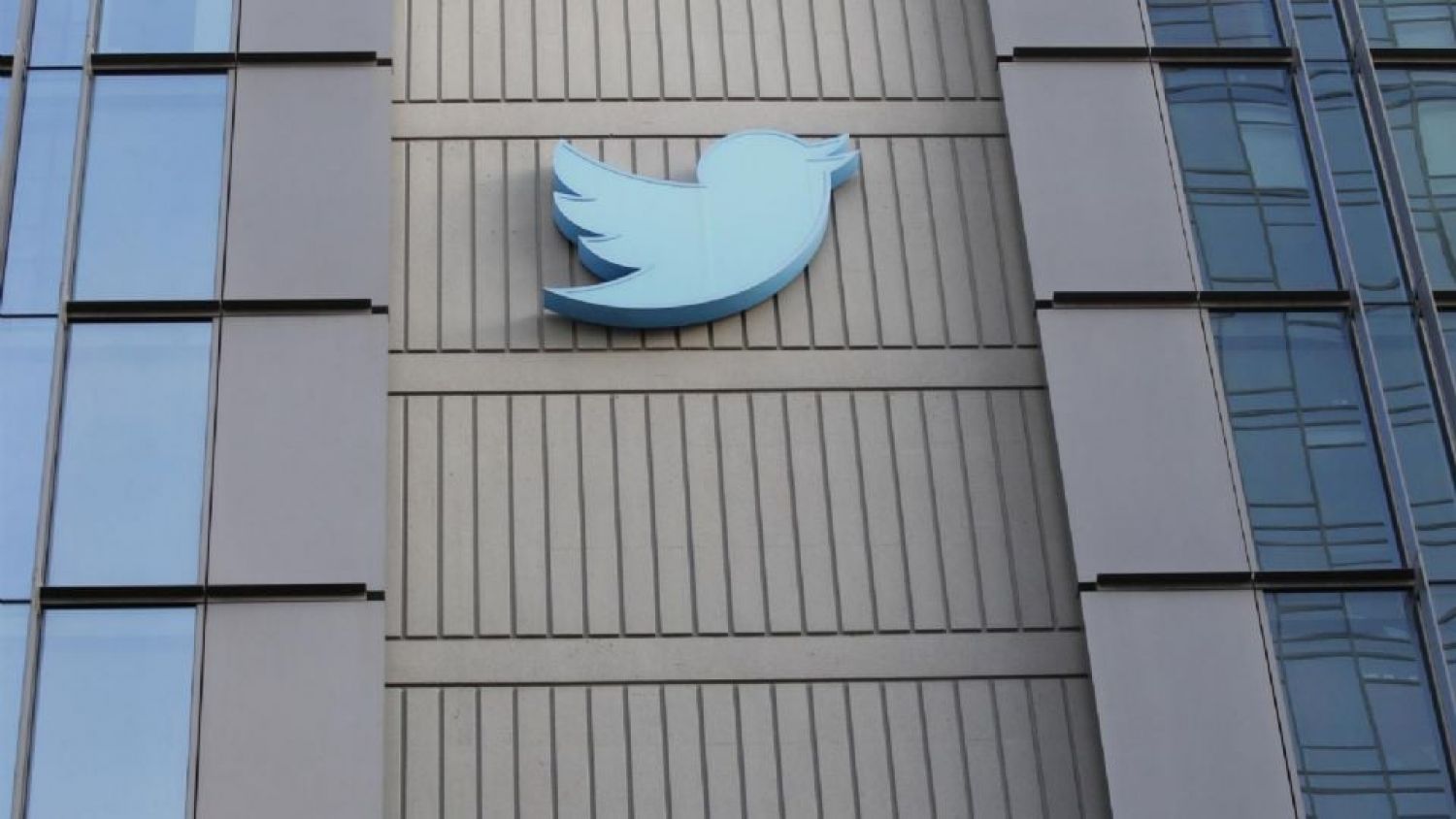 "Twitter pierde 4 millones de dólares al día": Elon Musk justifica despidos masivos