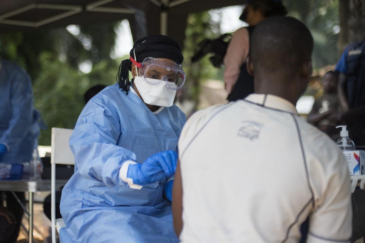 Alertan por virus de mono similar al que ébola estaría 'listo' para saltar a los humanos